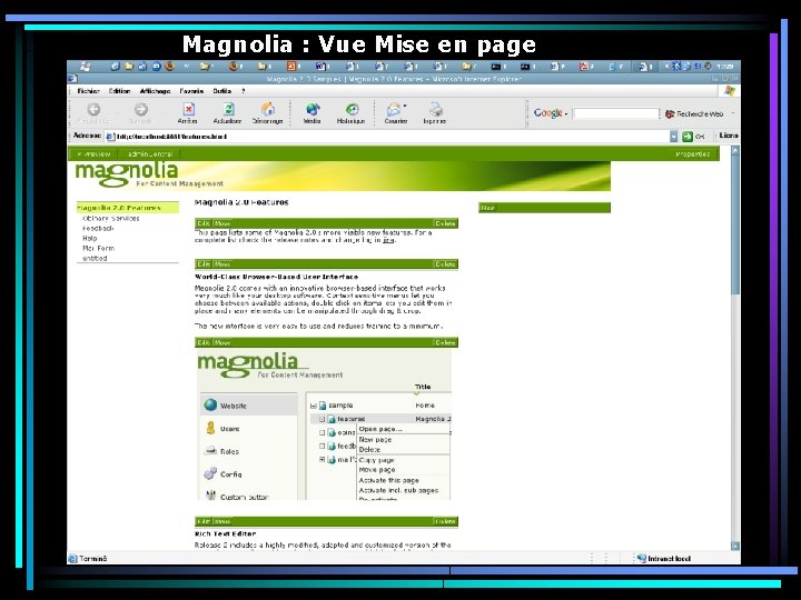 Magnolia : Vue Mise en page 