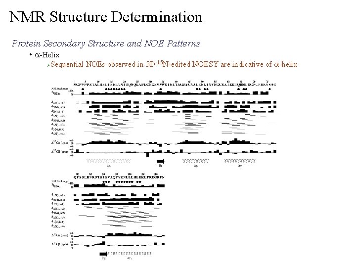 NMR Structure Determination Protein Secondary Structure and NOE Patterns • a-Helix Ø Sequential NOEs