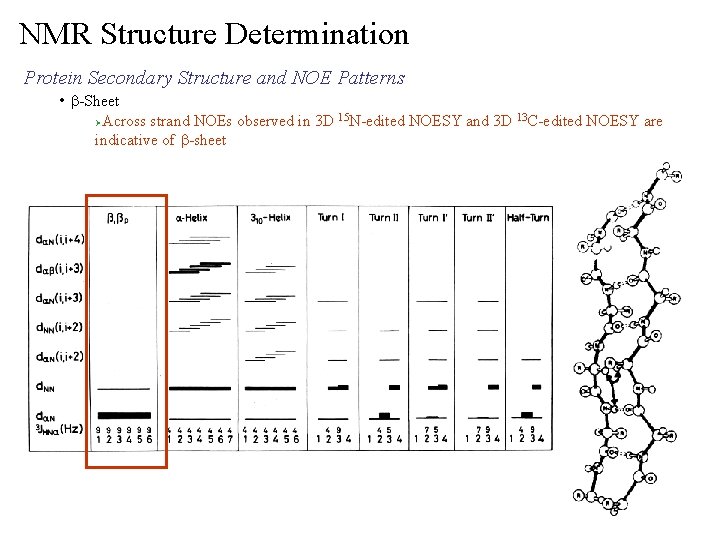NMR Structure Determination Protein Secondary Structure and NOE Patterns • b-Sheet Across strand NOEs