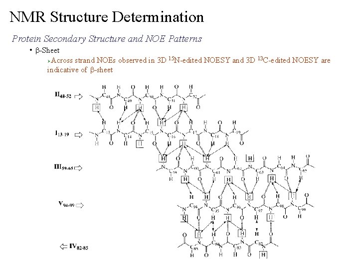 NMR Structure Determination Protein Secondary Structure and NOE Patterns • b-Sheet Across strand NOEs