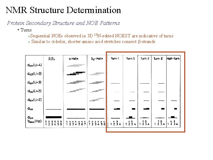 NMR Structure Determination Protein Secondary Structure and NOE Patterns • Turns Sequential NOEs observed