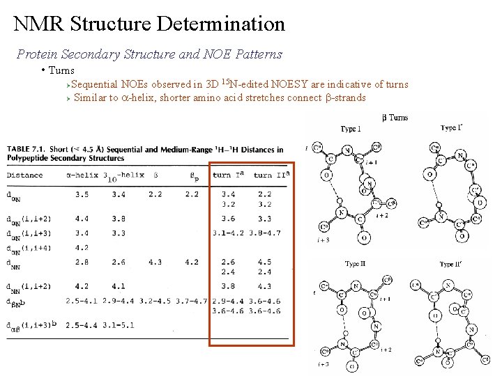 NMR Structure Determination Protein Secondary Structure and NOE Patterns • Turns Sequential NOEs observed