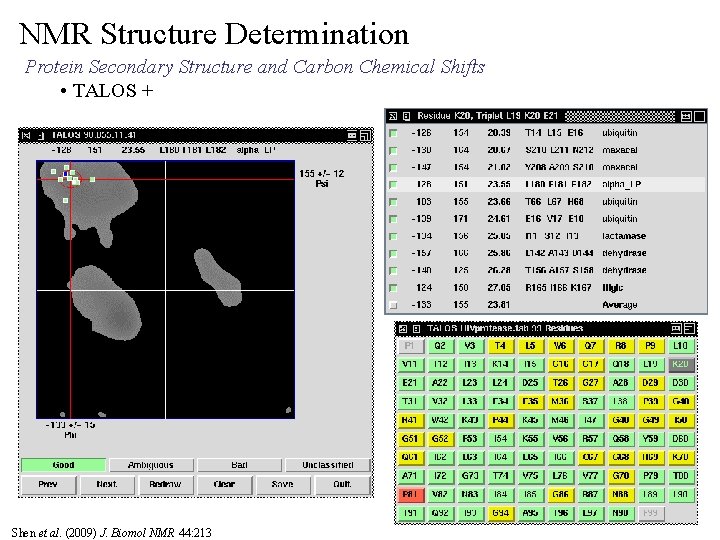 NMR Structure Determination Protein Secondary Structure and Carbon Chemical Shifts • TALOS + Shen