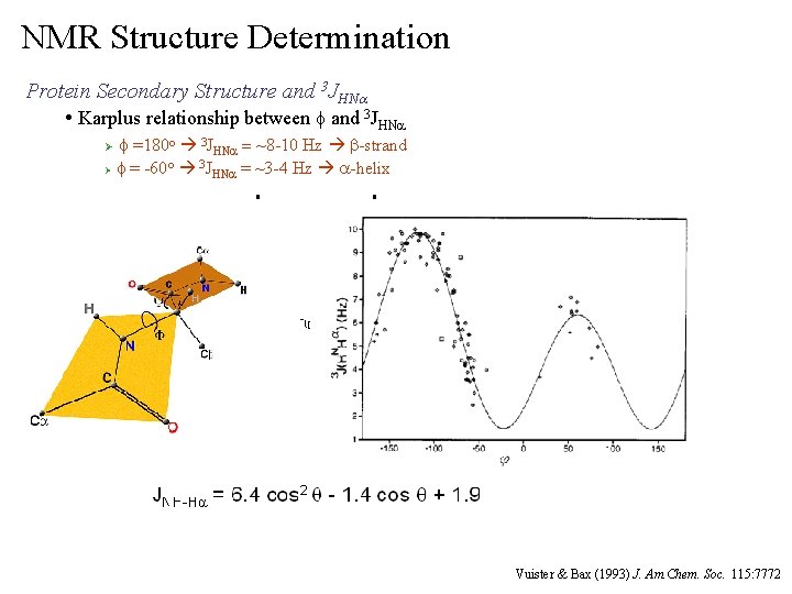 NMR Structure Determination Protein Secondary Structure and 3 JHNa • Karplus relationship between f