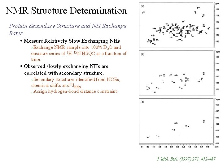 NMR Structure Determination Protein Secondary Structure and NH Exchange Rates • Measure Relatively Slow