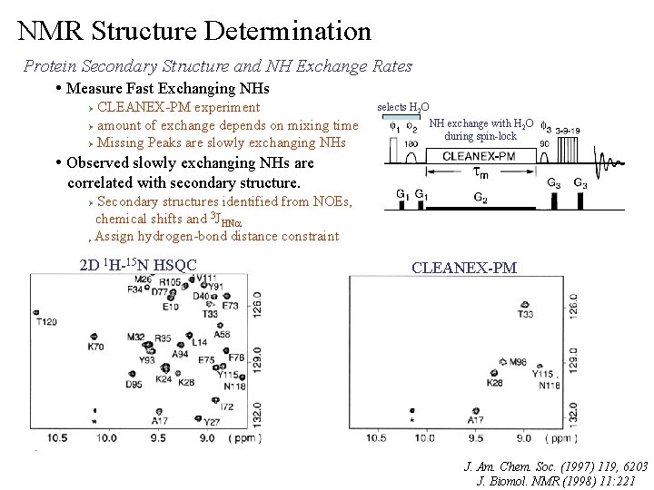 NMR Structure Determination Protein Secondary Structure and NH Exchange Rates • Measure Fast Exchanging