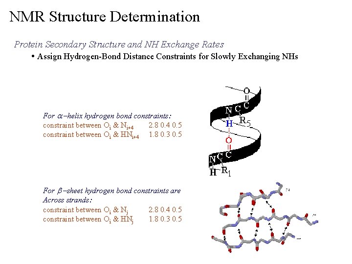 NMR Structure Determination Protein Secondary Structure and NH Exchange Rates • Assign Hydrogen-Bond Distance