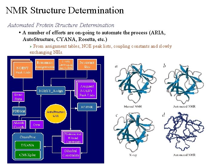 NMR Structure Determination Automated Protein Structure Determination • A number of efforts are on-going