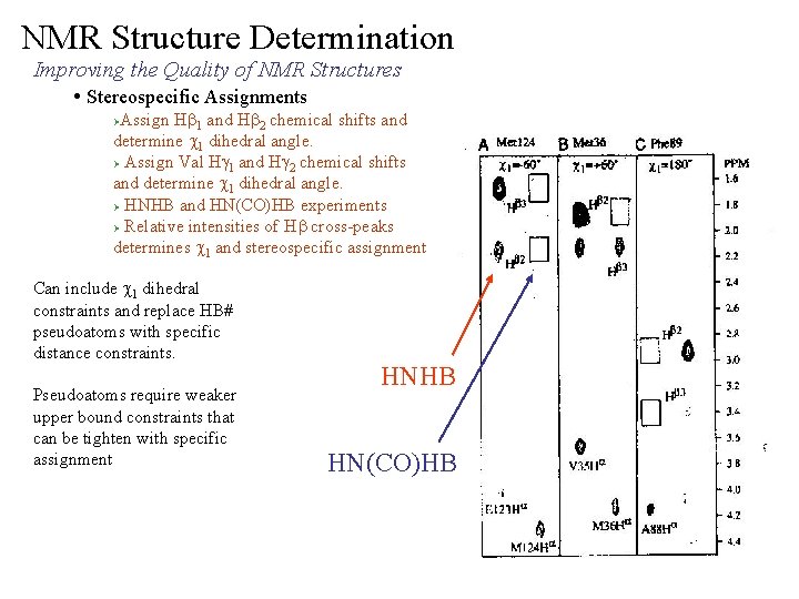 NMR Structure Determination Improving the Quality of NMR Structures • Stereospecific Assignments Assign Hb