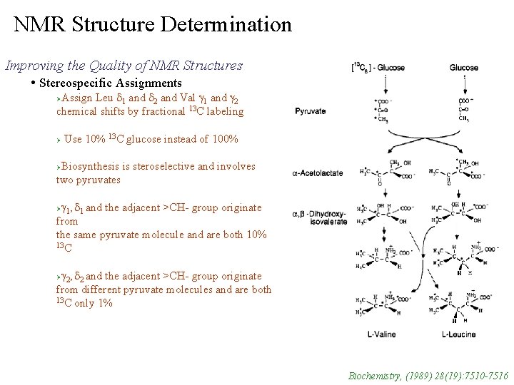 NMR Structure Determination Improving the Quality of NMR Structures • Stereospecific Assignments Assign Leu