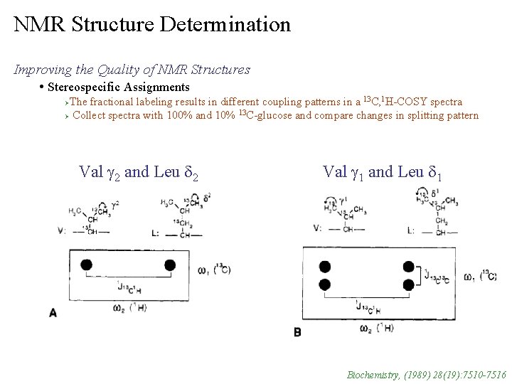 NMR Structure Determination Improving the Quality of NMR Structures • Stereospecific Assignments The fractional