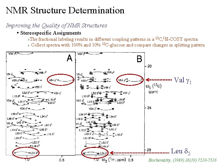 NMR Structure Determination Improving the Quality of NMR Structures • Stereospecific Assignments The fractional