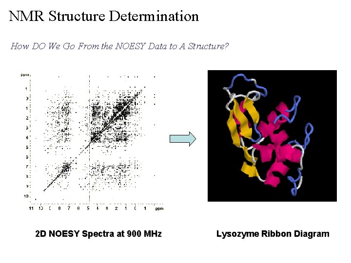 NMR Structure Determination How DO We Go From the NOESY Data to A Structure?