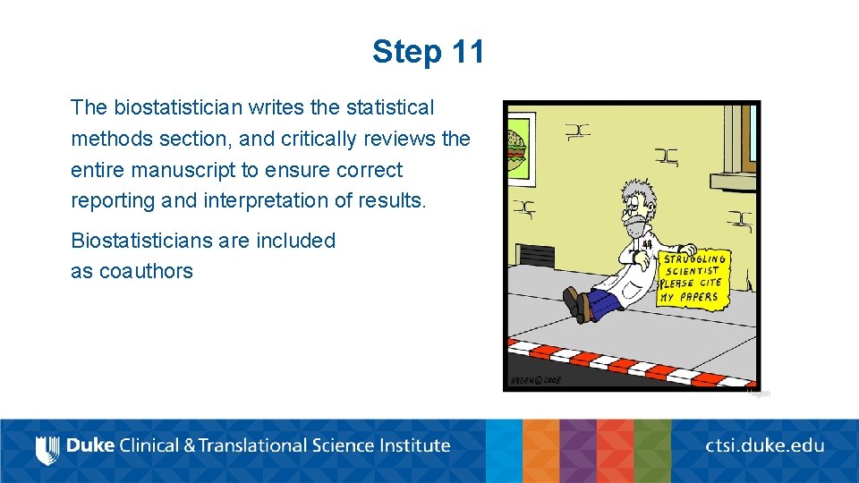 Step 11 The biostatistician writes the statistical methods section, and critically reviews the entire