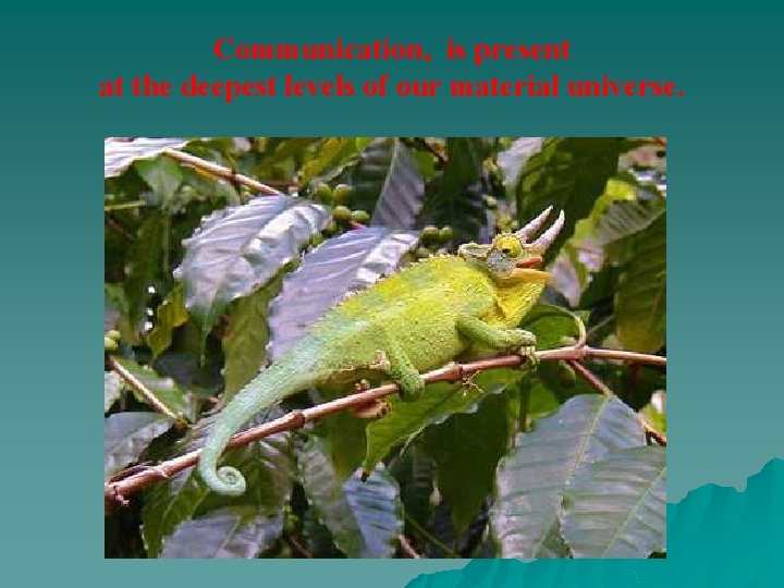 Communication, is present at the deepest levels of our material universe. 