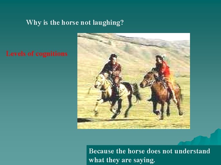 Why is the horse not laughing? Levels of cognitions Because the horse does not