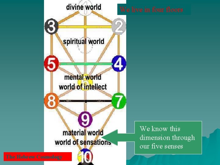 We live in four floors We know this dimension through our five senses The