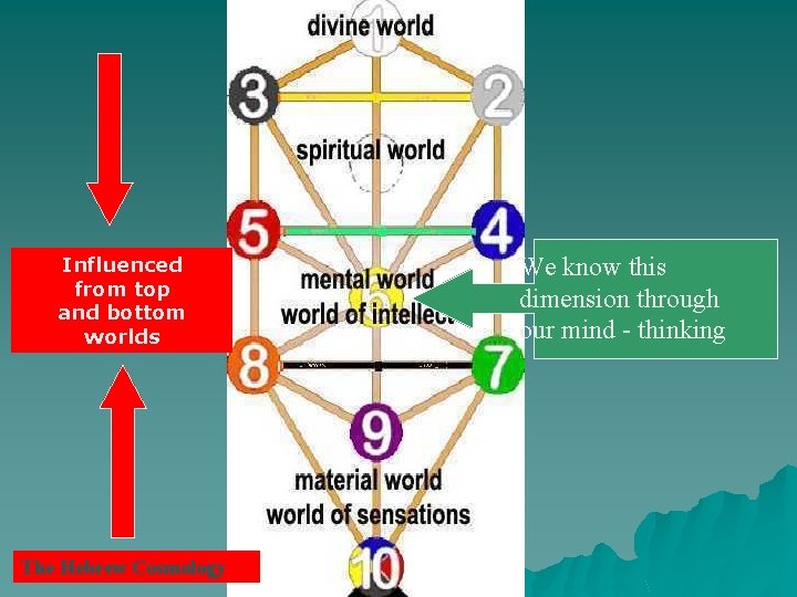 Influenced from top and bottom worlds The Hebrew Cosmology We know this dimension through