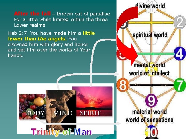 After the fall – thrown out of paradise For a little while limited within