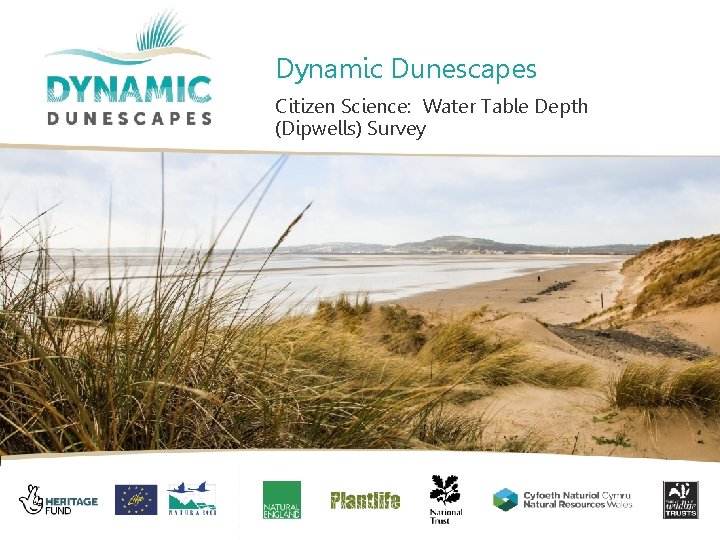 Dynamic Dunescapes Citizen Science: Water Table Depth (Dipwells) Survey v 