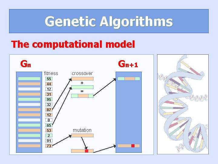 Genetic Algorithms The computational model Gn Gn+1 fitness 55 44 12 31 95 32 Genetic Algorithms The computational model Gn Gn+1 fitness 55 44 12 31 95 32