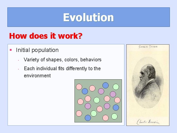 Evolution How does it work? § Initial population • • Variety of shapes, colors, Evolution How does it work? § Initial population • • Variety of shapes, colors,