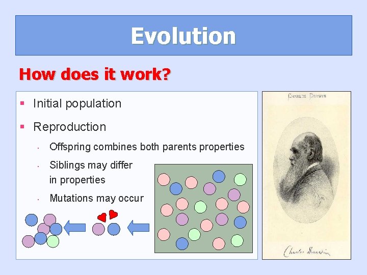 Evolution How does it work? § Initial population § Reproduction • • • Offspring Evolution How does it work? § Initial population § Reproduction • • • Offspring