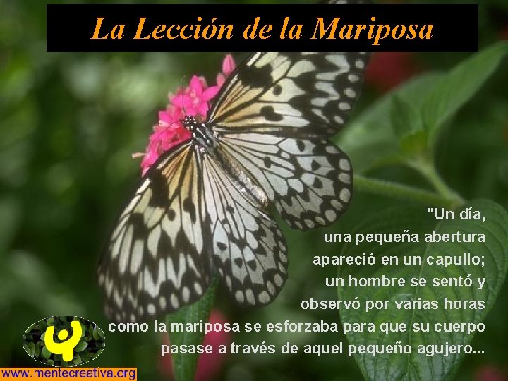 La Lección de la Mariposa "Un día, una pequeña abertura apareció en un capullo;