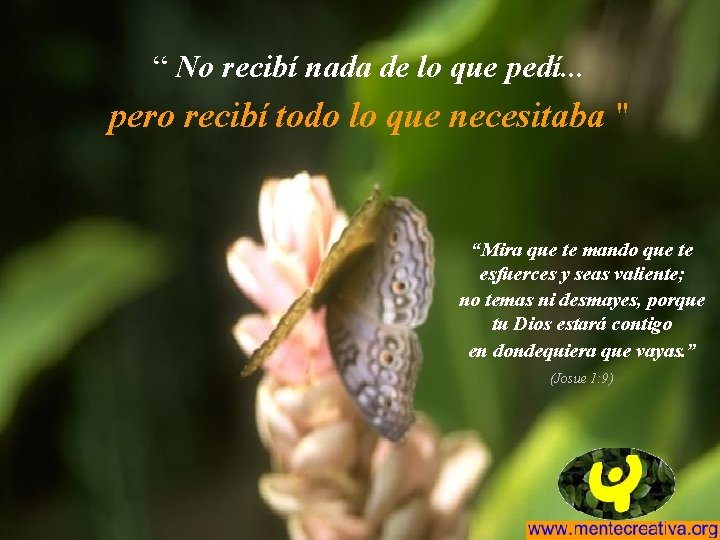 “ No recibí nada de lo que pedí. . . pero recibí todo lo
