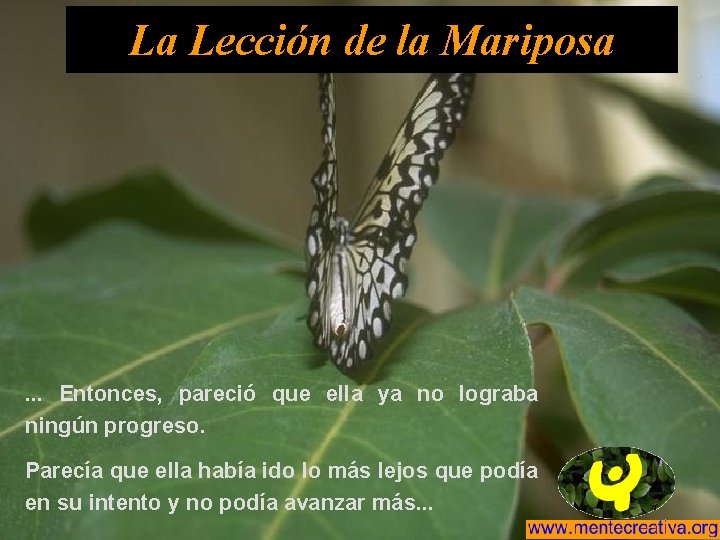 La Lección de la Mariposa . . . Entonces, pareció que ella ya no