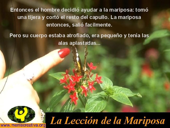 Entonces el hombre decidió ayudar a la mariposa: tomó una tijera y cortó el