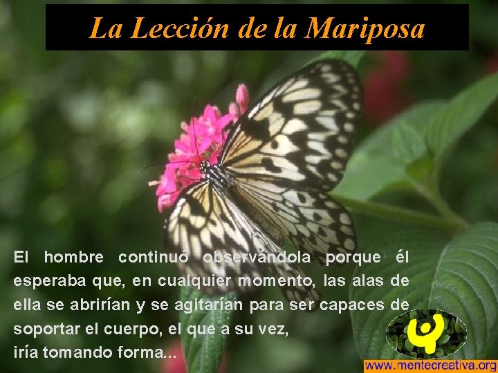 La Lección de la Mariposa El hombre continuó observándola porque él esperaba que, en