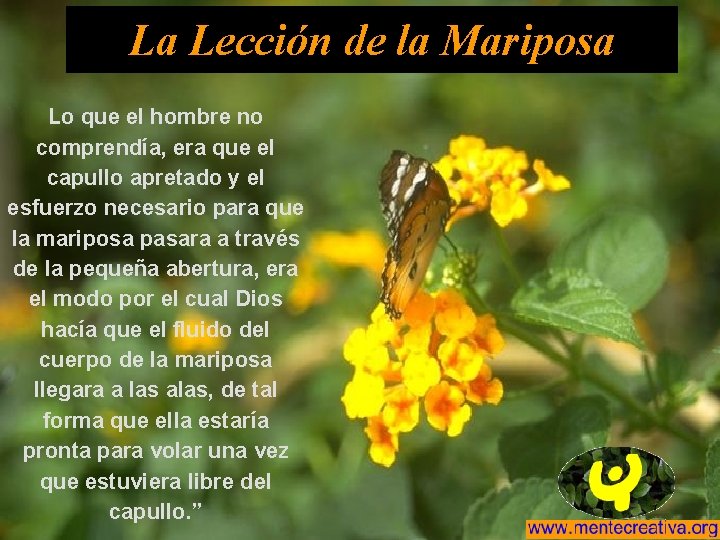 La Lección de la Mariposa Lo que el hombre no comprendía, era que el