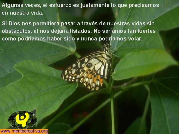 Algunas veces, el esfuerzo es justamente lo que precisamos en nuestra vida. Si Dios
