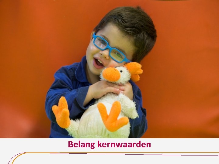 Belang kernwaarden 