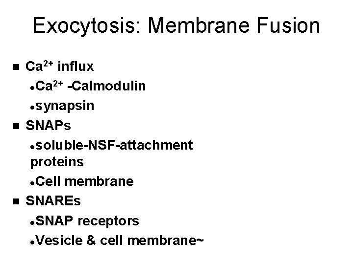 Exocytosis: Membrane Fusion n Ca 2+ influx 2+ -Calmodulin l. Ca lsynapsin SNAPs lsoluble-NSF-attachment