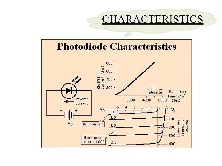 CHARACTERISTICS 