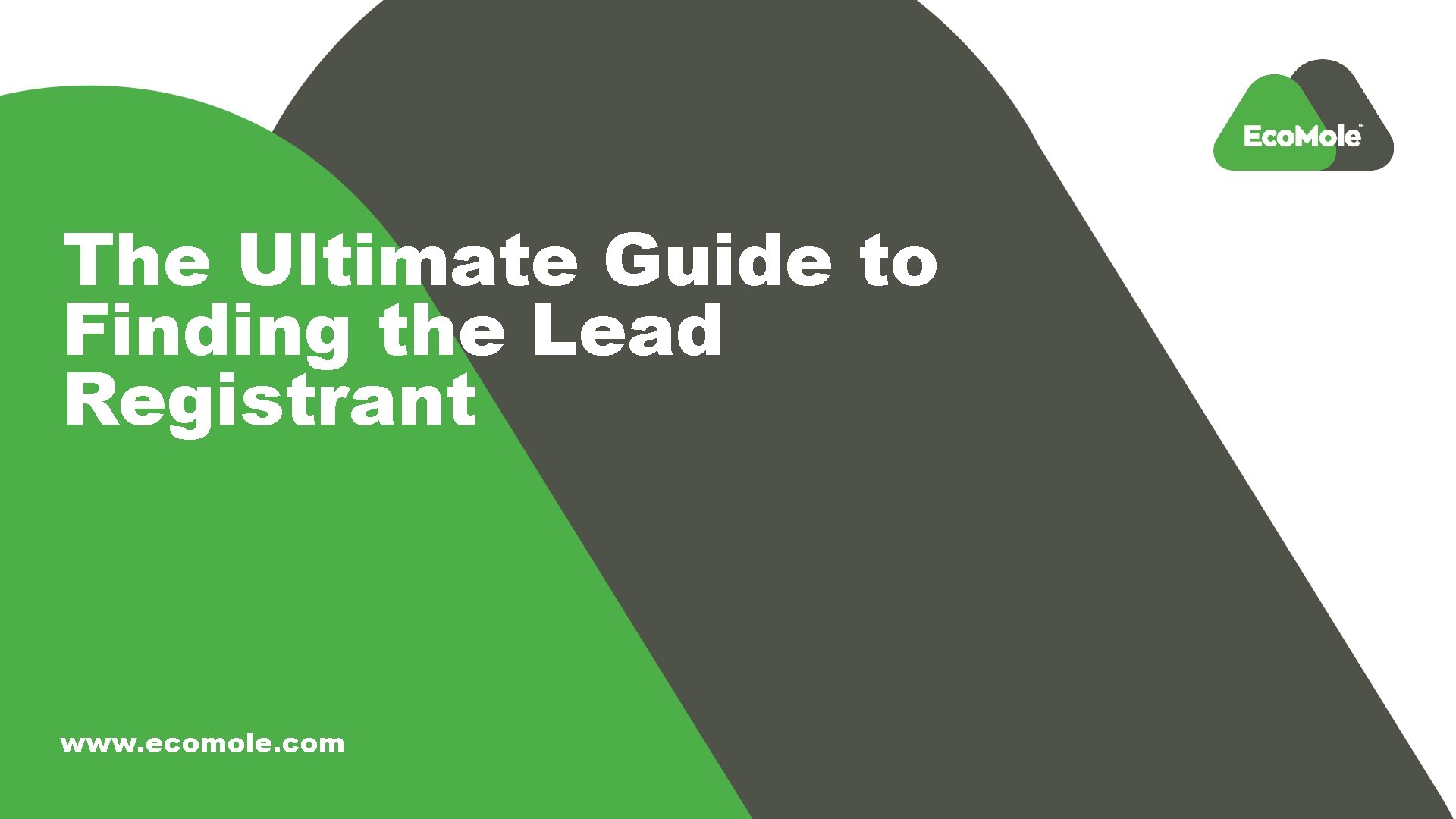 The Ultimate Guide to Finding the Lead Registrant