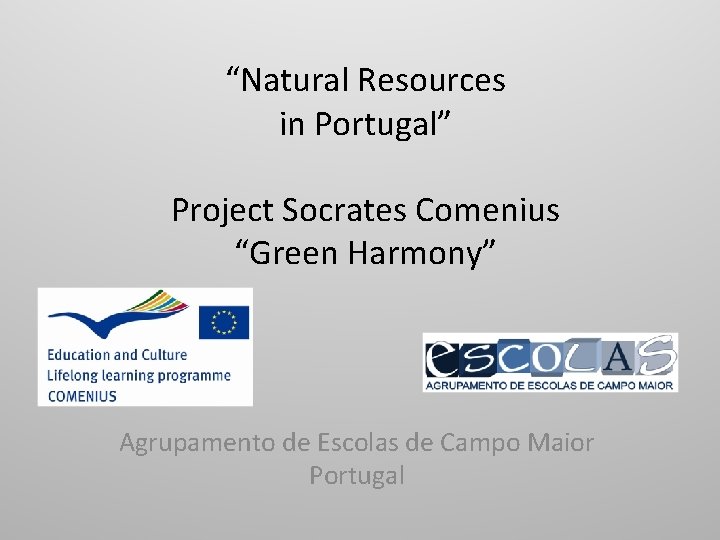 “Natural Resources in Portugal” Project Socrates Comenius “Green Harmony” Agrupamento de Escolas de Campo