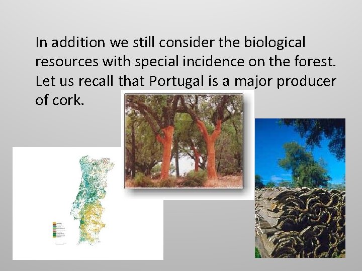 In addition we still consider the biological resources with special incidence on the forest.