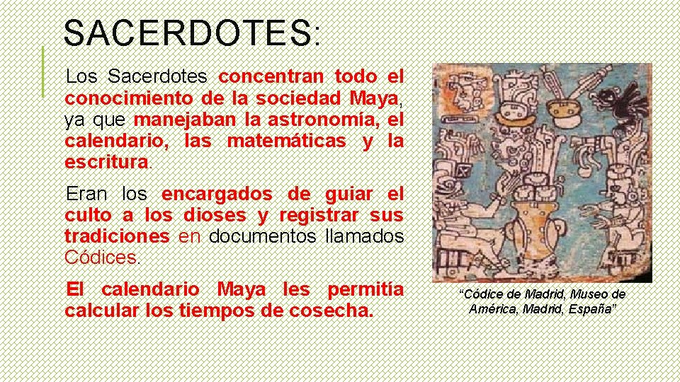 SACERDOTES: Los Sacerdotes concentran todo el conocimiento de la sociedad Maya, ya que manejaban