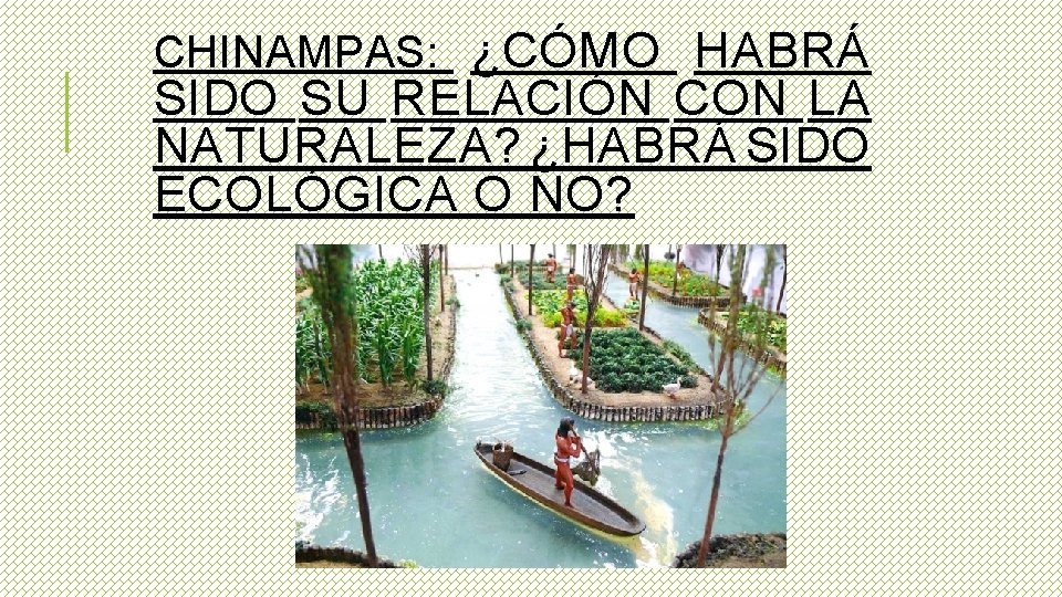 CHINAMPAS: ¿CÓMO HABRÁ SIDO SU RELACIÓN CON LA NATURALEZA? ¿HABRÁ SIDO ECOLÓGICA O NO?