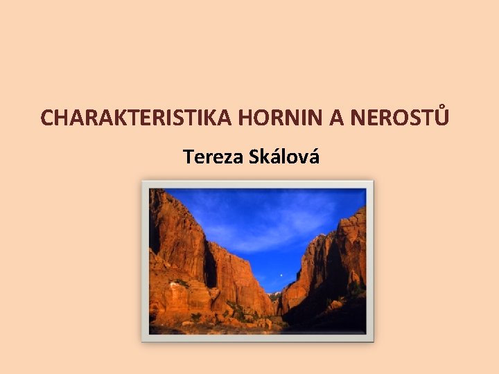 CHARAKTERISTIKA HORNIN A NEROSTŮ Tereza Skálová 