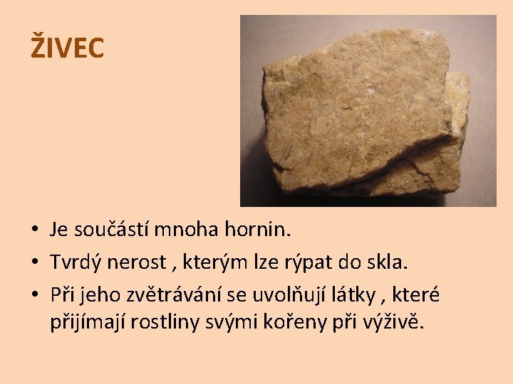 ŽIVEC • Je součástí mnoha hornin. • Tvrdý nerost , kterým lze rýpat do