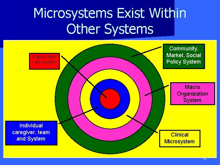 Microsystems Exist Within Other Systems Patient Selfcare System Community, Market, Social Policy System Macro
