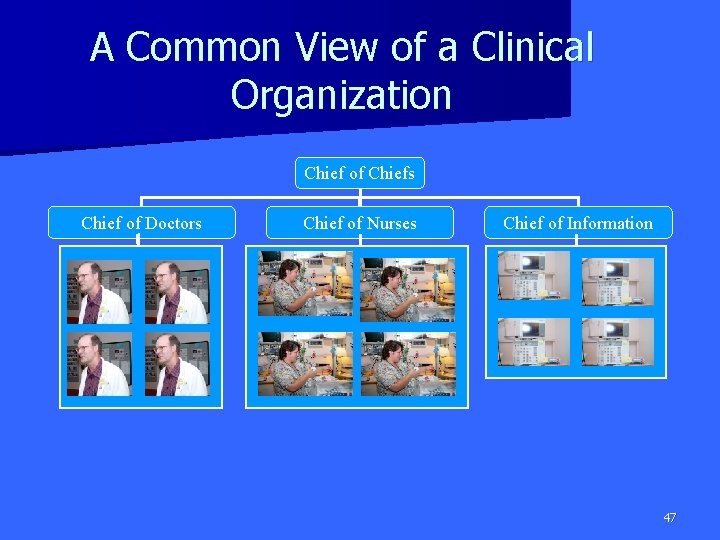 A Common View of a Clinical Organization Chief of Chiefs Chief of Doctors Chief