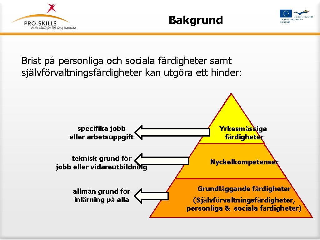 Bakgrund Brist på personliga och sociala färdigheter samt självförvaltningsfärdigheter kan utgöra ett hinder: specifika