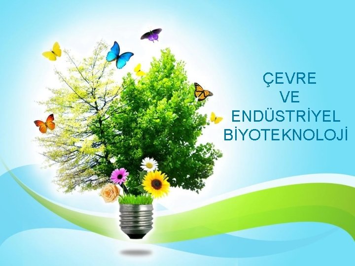 ÇEVRE VE ENDÜSTRİYEL BİYOTEKNOLOJİ 