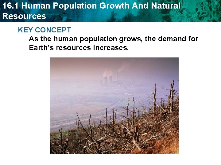 16. 1 Human Population Growth And Natural Resources KEY CONCEPT As the human population