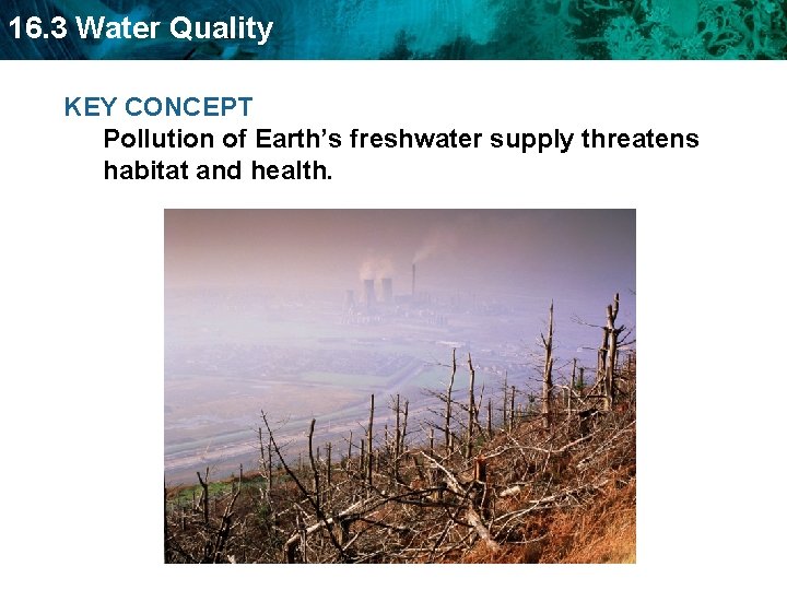 16. 3 Water Quality KEY CONCEPT Pollution of Earth’s freshwater supply threatens habitat and